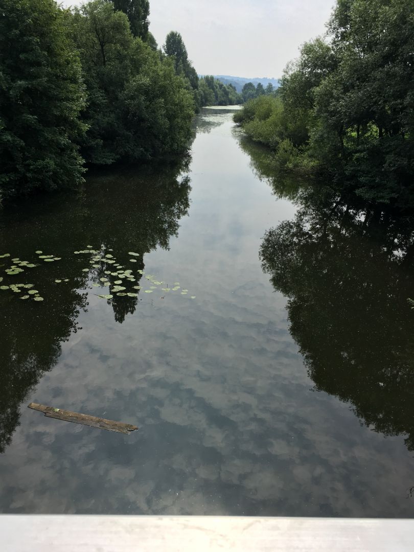 Ruhraltarm Rellinghausen angeln