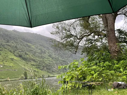 Mosel (Traben-Trarbach)