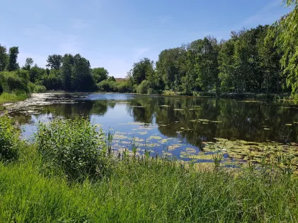 Staubecken der Panke (Bernau)