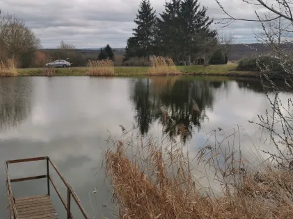 Benzlesriedsee