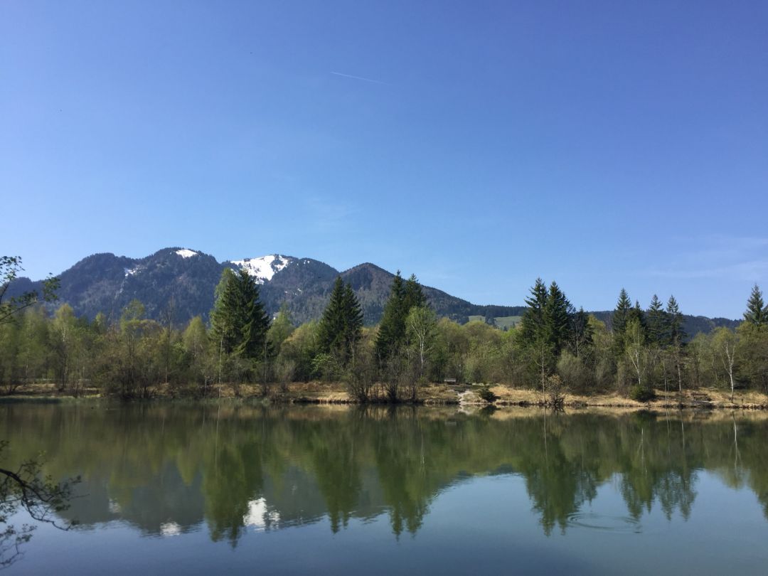 Baggerweiher Nord (Lenggries) angeln