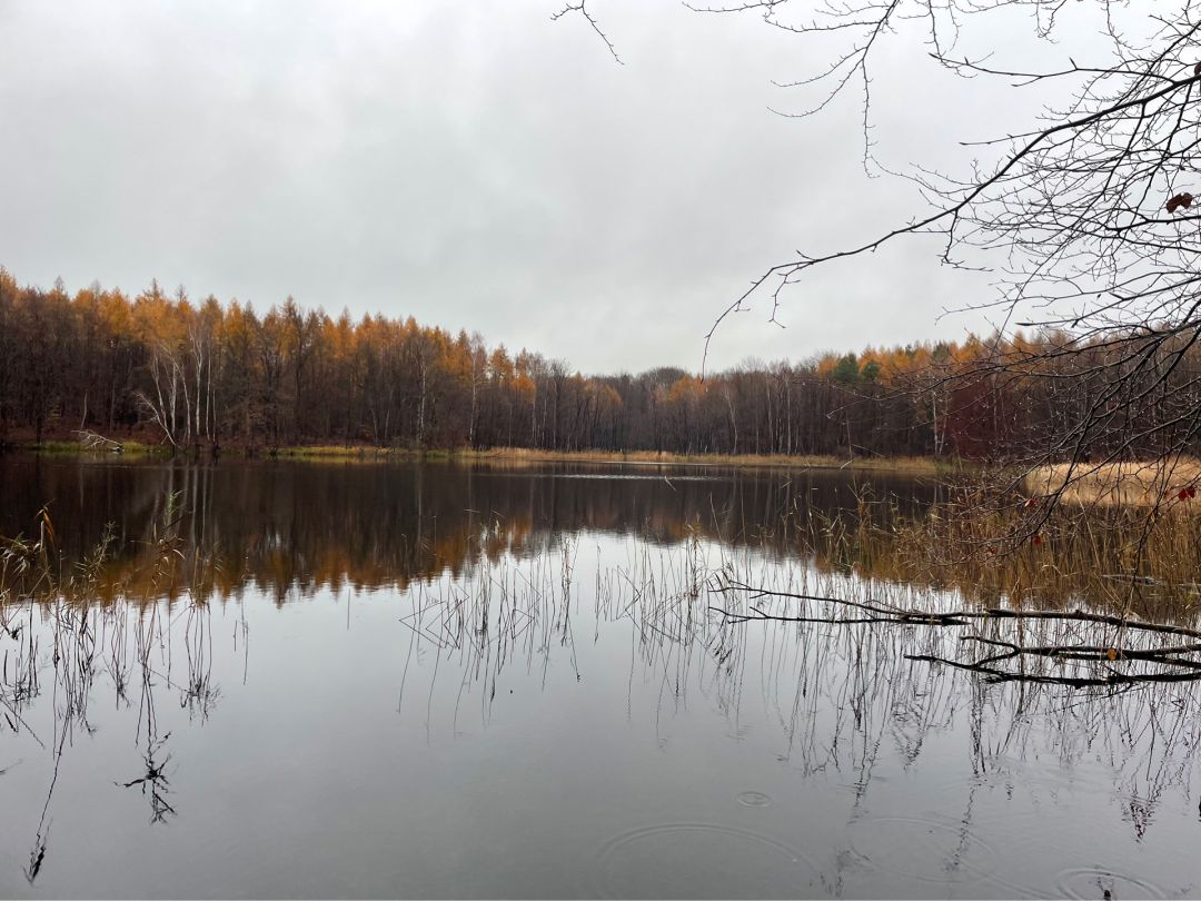 Großer Dollinsee angeln