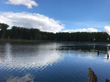 Westerwiese (Unseburg)