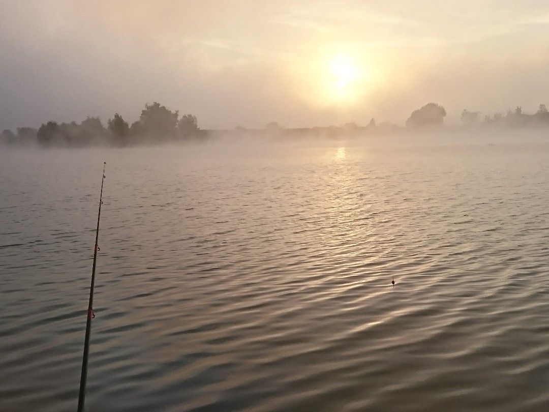 Pfarrwiesensee angeln