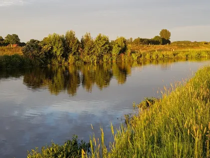 Vechte (Laar)