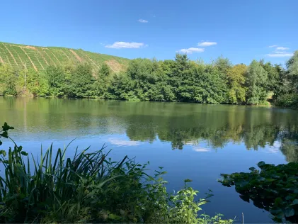 Pfandersee
