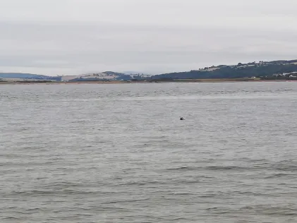Moray Firth