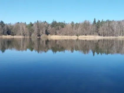 Steineweiler Weiher