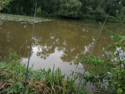 Vils (Mattenham)