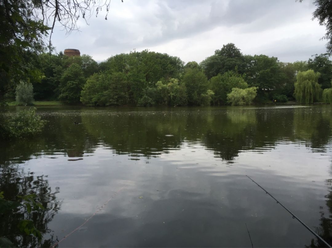 Obersee (Berlin-Hohenschönhausen) angeln