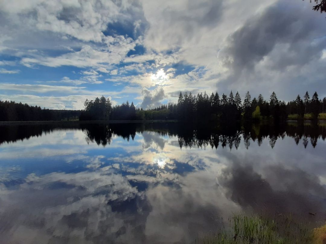 Bärenbrucher Teich angeln