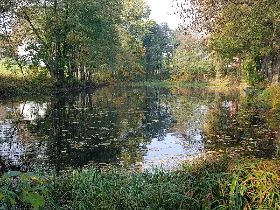 Hungerteiche (Marienberg) angeln