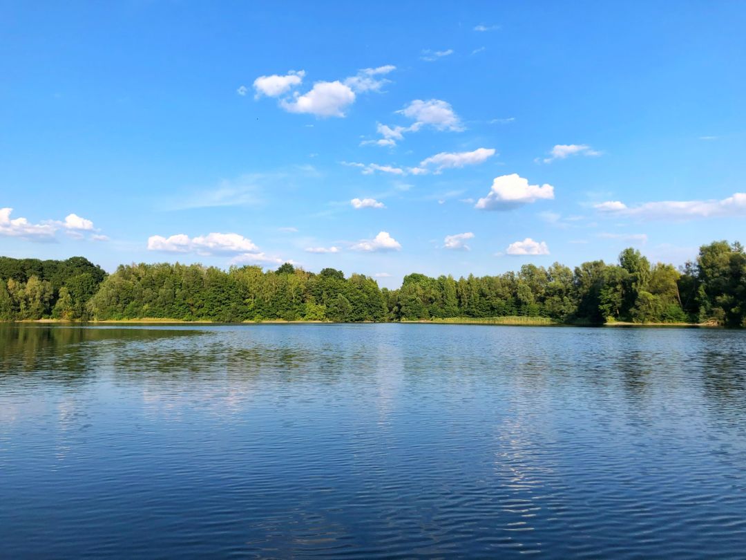 Buxelsee angeln