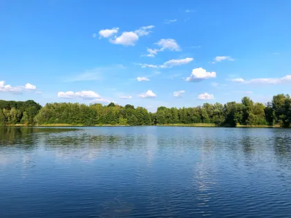 Buxelsee