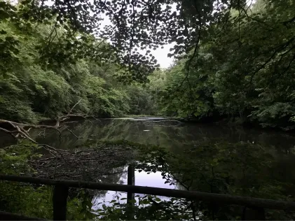 Ilandteich