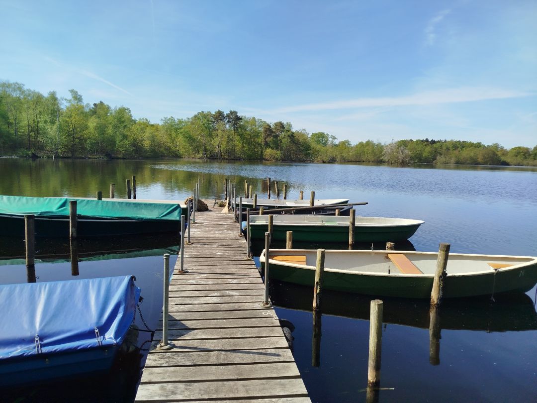 Waldhusener Moorsee angeln