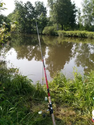 Haune (Bad Hersfeld)