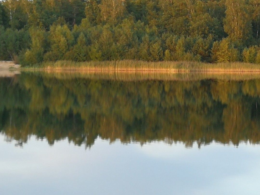 Meitzer Teich angeln