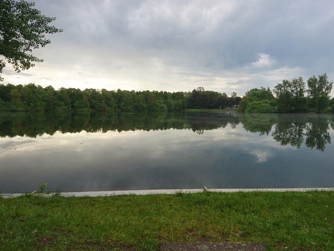 Baggersee Diepholz angeln