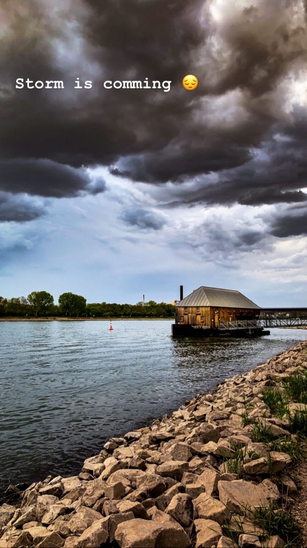 Angeln in Eltville am Rhein