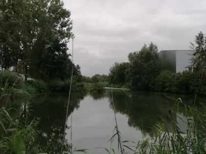 Zuid-Willemsvaart (Helmond)