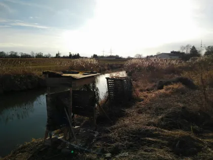 Zusam (Donauwörth)