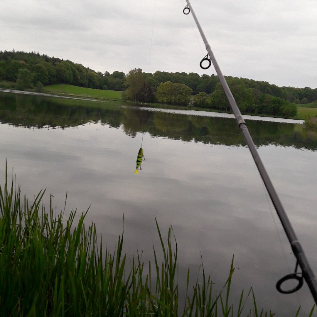 Hofteich Mönchneversdorf angeln