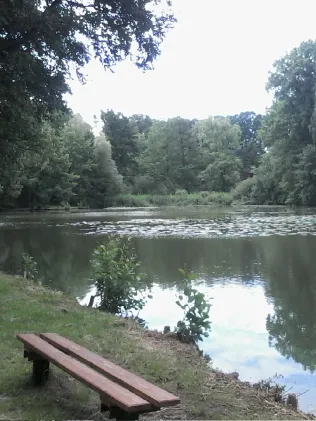 Mühlteich (Mücka)