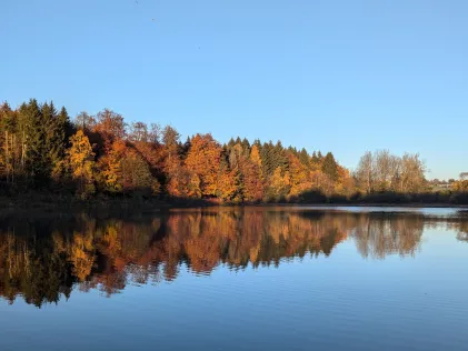 Gondelteich (Friedrichsbrunn)
