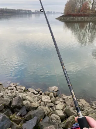 Rhein (Biblis - Hamm am Rhein)