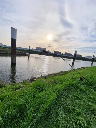 Neckar (Mannheim)