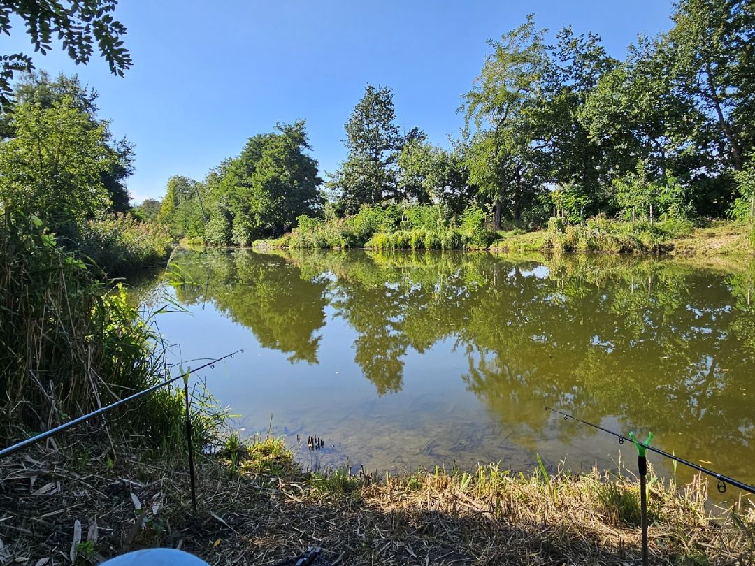 Grödel-Elsterwerdaer-Kanal angeln