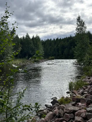 Ljusnan (Medskogsbygget)