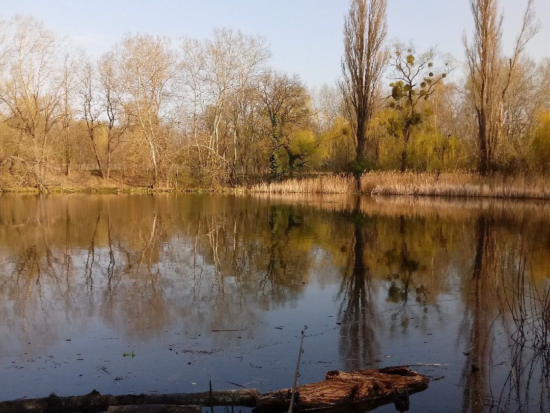 Kesselsee (Rüdersdorf) angeln