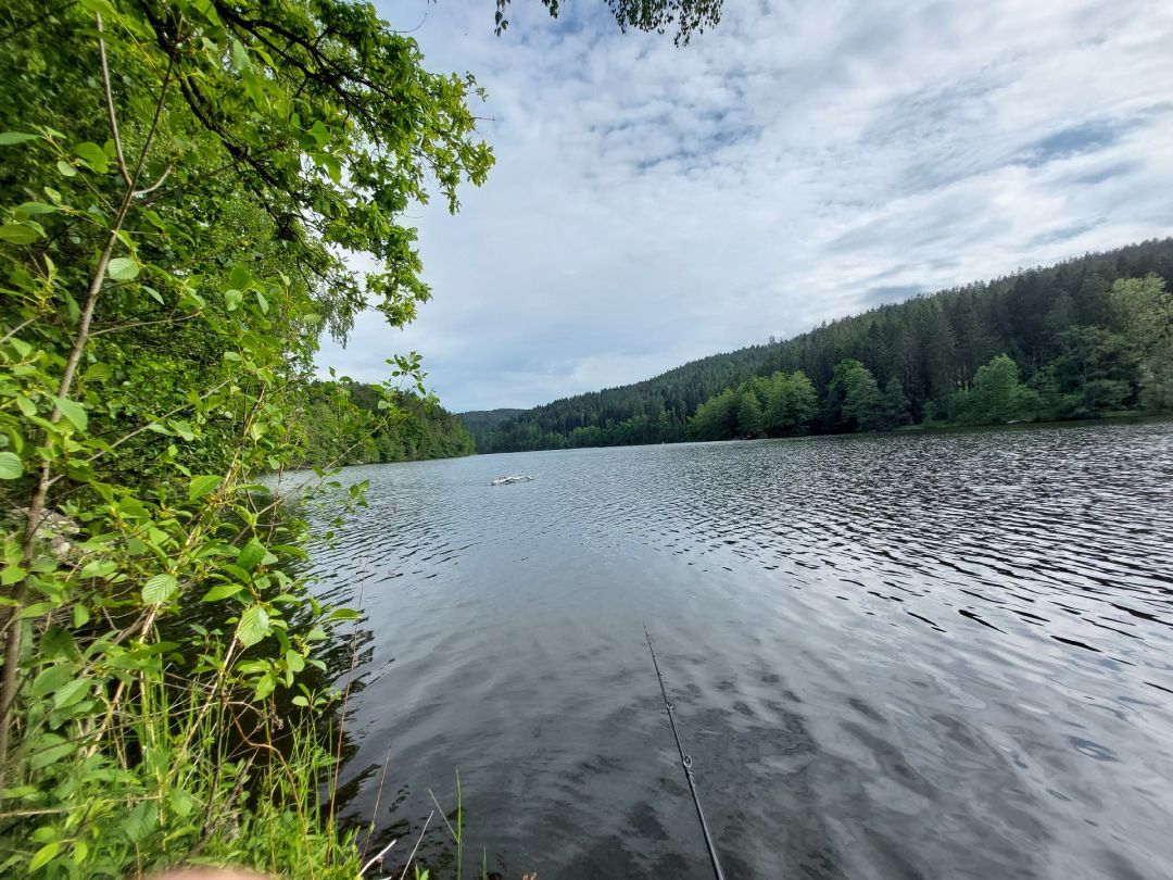 Höllensteinsee angeln