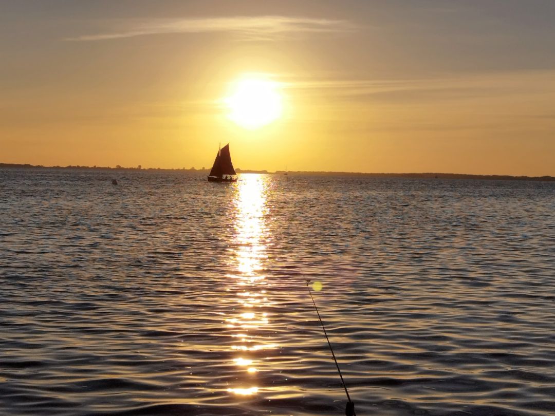 Schaproder Bodden angeln