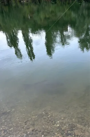 Baggerfeld Köln-Pesch