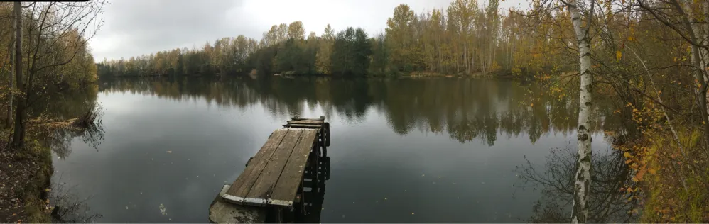 Torfgrube Mittweida