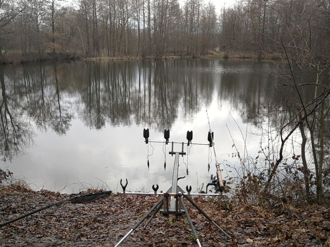 Schleienweiher (Deggendorf) angeln