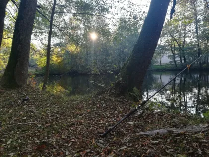 Hammerteich (Zwönitz)