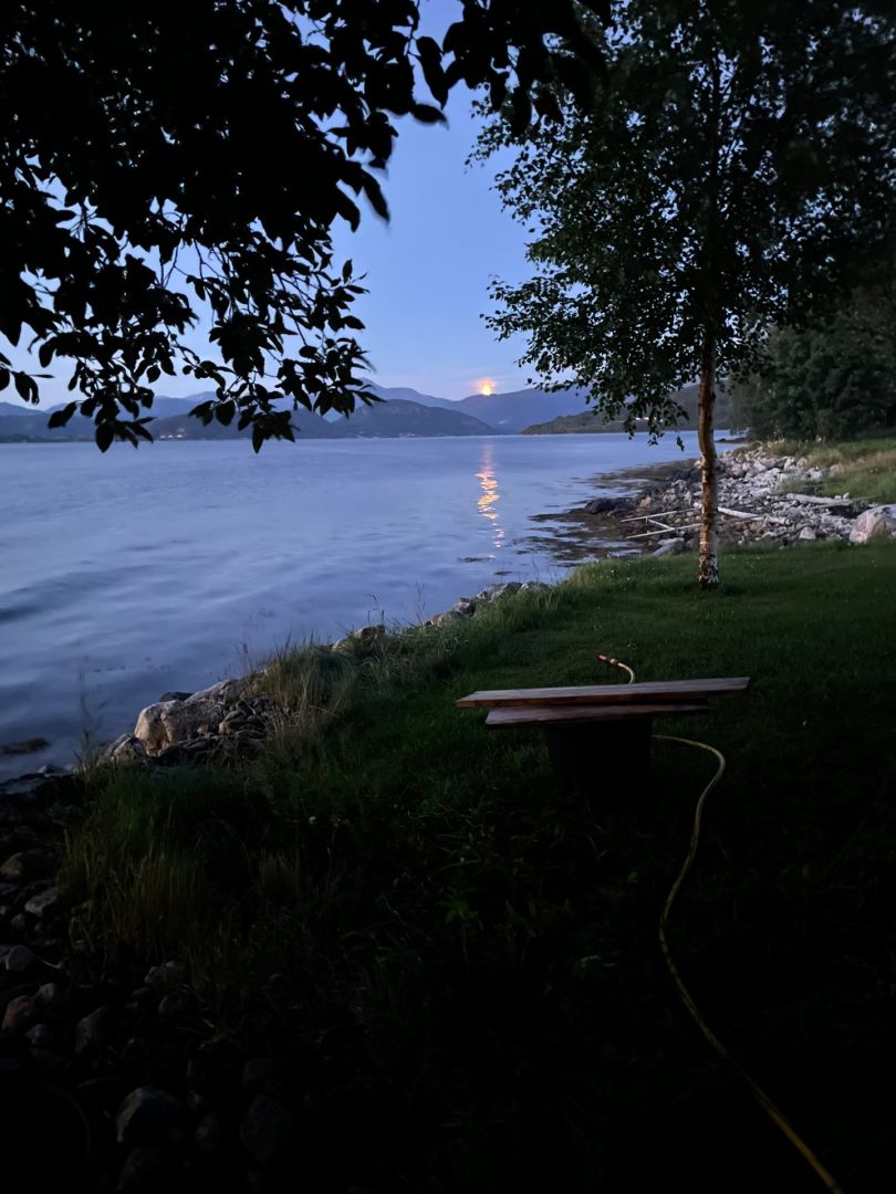 Ålvundfjord angeln