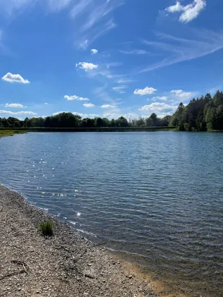 Unterer Hausherzberger Teich