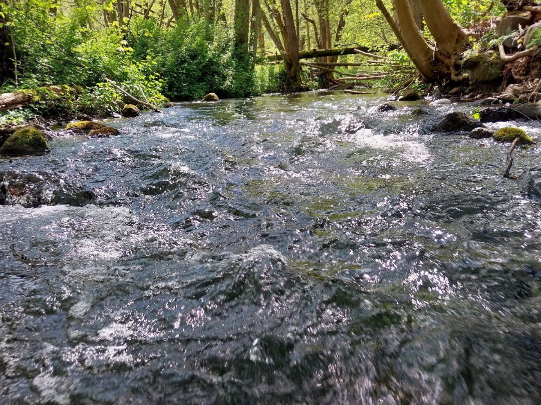 Angeln in Dorf Mecklenburg