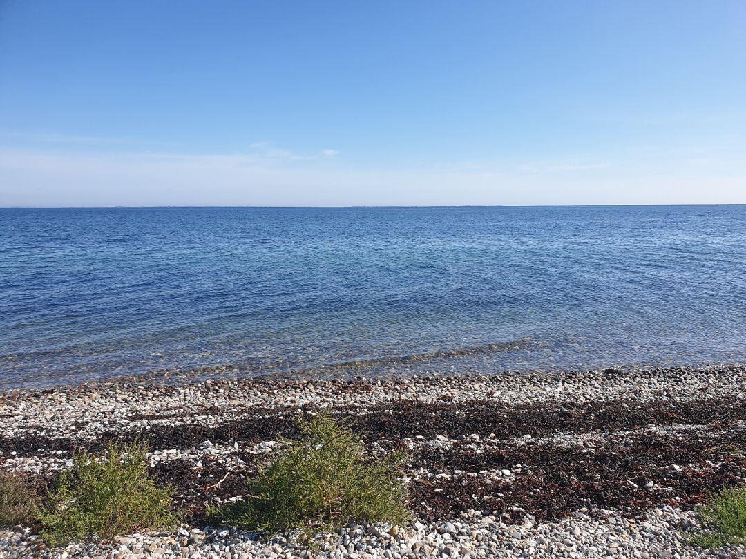 Ostsee (Tranekær) angeln