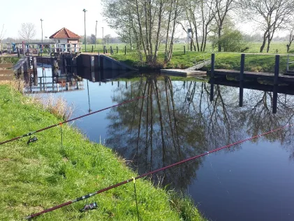 Hauptfehnkanal