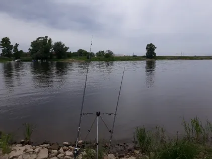 Elbe-Havel-Kanal (Niegripp)