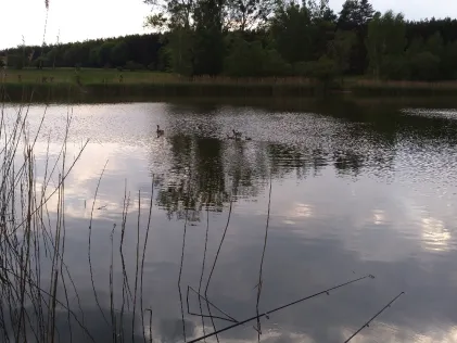 Dorfsee Gielow