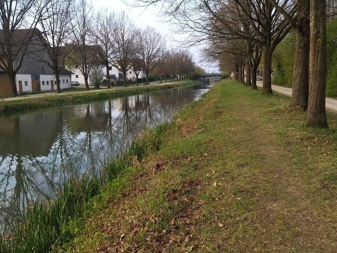 Ludwig-Donau-Main-Kanal (Neumarkt i.d.OPf.) angeln