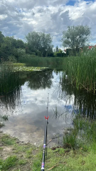 Dorfteich (Hirschfelde)