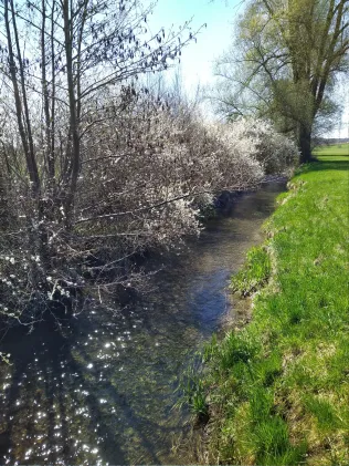 Leibi (Nersingen)